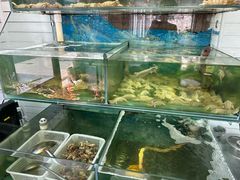 -鲁前海沿儿
