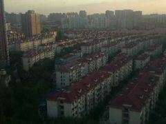 -上海市普陀区中心医院