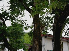 -溪口-滕头旅游景区