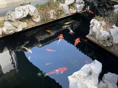 -金海华·华宴江南(斜塘店)