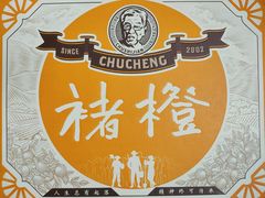 褚橙-沈阳市八家子水果批发市场