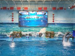 -多彩贵州城极地海洋世界