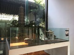 -苏州园林博物馆