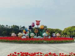 -上海鲜花港