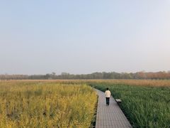 -永定河休闲森林公园