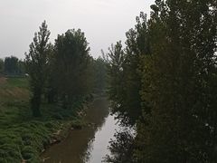 -洨河生态公园