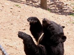 -大连森林动物园