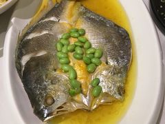 干菜毛豆蒸黄鱼-丽晶美庐·玉兰餐厅