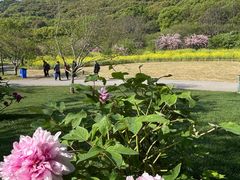 -苏州上方山国家森林公园