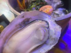 -土蚝·高压锅生蚝(百姓美食街店)