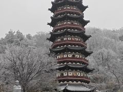 -牛首山文化旅游区