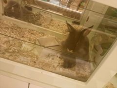 -龙猫仔乐园(惠福东路店)