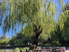 -中国农业博物馆