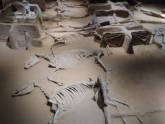 -洛阳周王城天子驾六博物馆