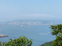 -枸杞岛