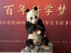 -中国国家博物馆