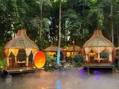 -二荆条·蜀鲜汇城市森林火锅