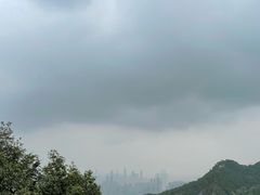 -南山植物园