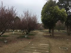 -秀丽东方