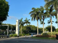 -深圳湾公园(南山区)