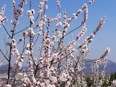 -白水寺森林公园