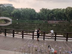 -万泉公园