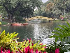 -晓港公园
