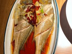 油泼黄花鱼-波螺油子·海肠捞饭·青岛菜(银座店)