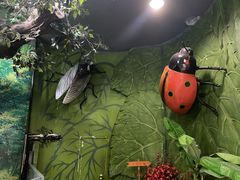 -上海大自然野生昆虫馆