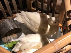 -馬蘭花開(车站大道店)