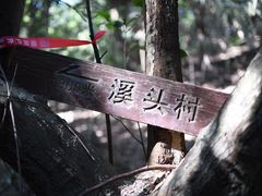 -广州市流溪河国家森林公园