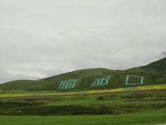 -扁都口生态休闲旅游区