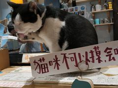 -猫的天空之城概念书店(杭州南宋御街店)
