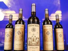 -上海明天广场JW万豪酒店