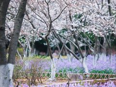 -白塘生态植物园