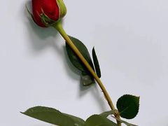 -上海市普陀区中心医院