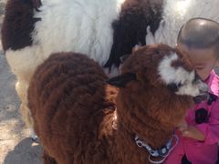 -新疆天山野生动物园