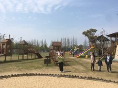 -上海长兴岛郊野公园