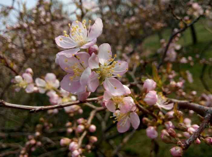 红白花公园-"这几年郑州建设的真心不错,不愧是中原第一.