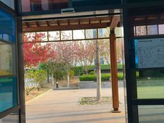 -首都医科大学附属北京潞河医院