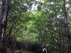 -云岫谷自然风景区