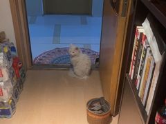 -逸栈养生SPA(望京店)