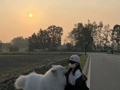 -立德动物医院·24小时中心(番禺区院区)