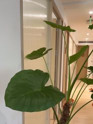 -归位瑜伽＆普拉提馆