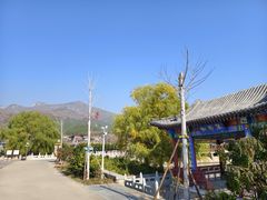 -泰山风景名胜区-虎山公园