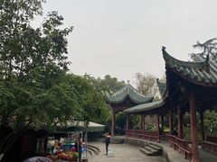 -桂湖森林公园