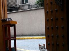 -少林功夫文化中心·独门独院