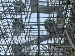 -证大喜玛拉雅中心