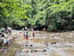景点-紫云谷景区
