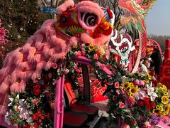 -北京野生动物园